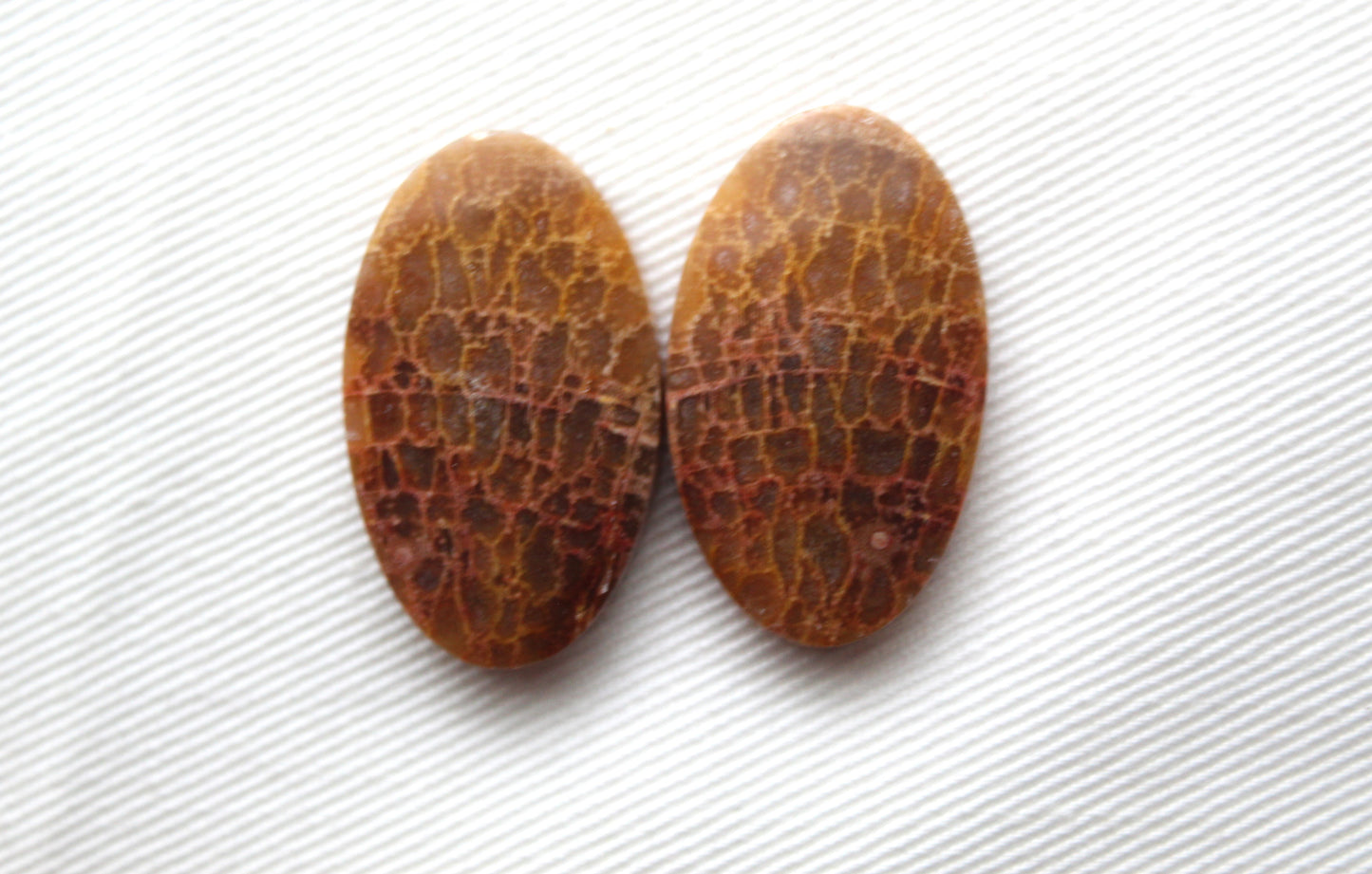 Fossil Palm root Cabochon Pair Gemstone Oval