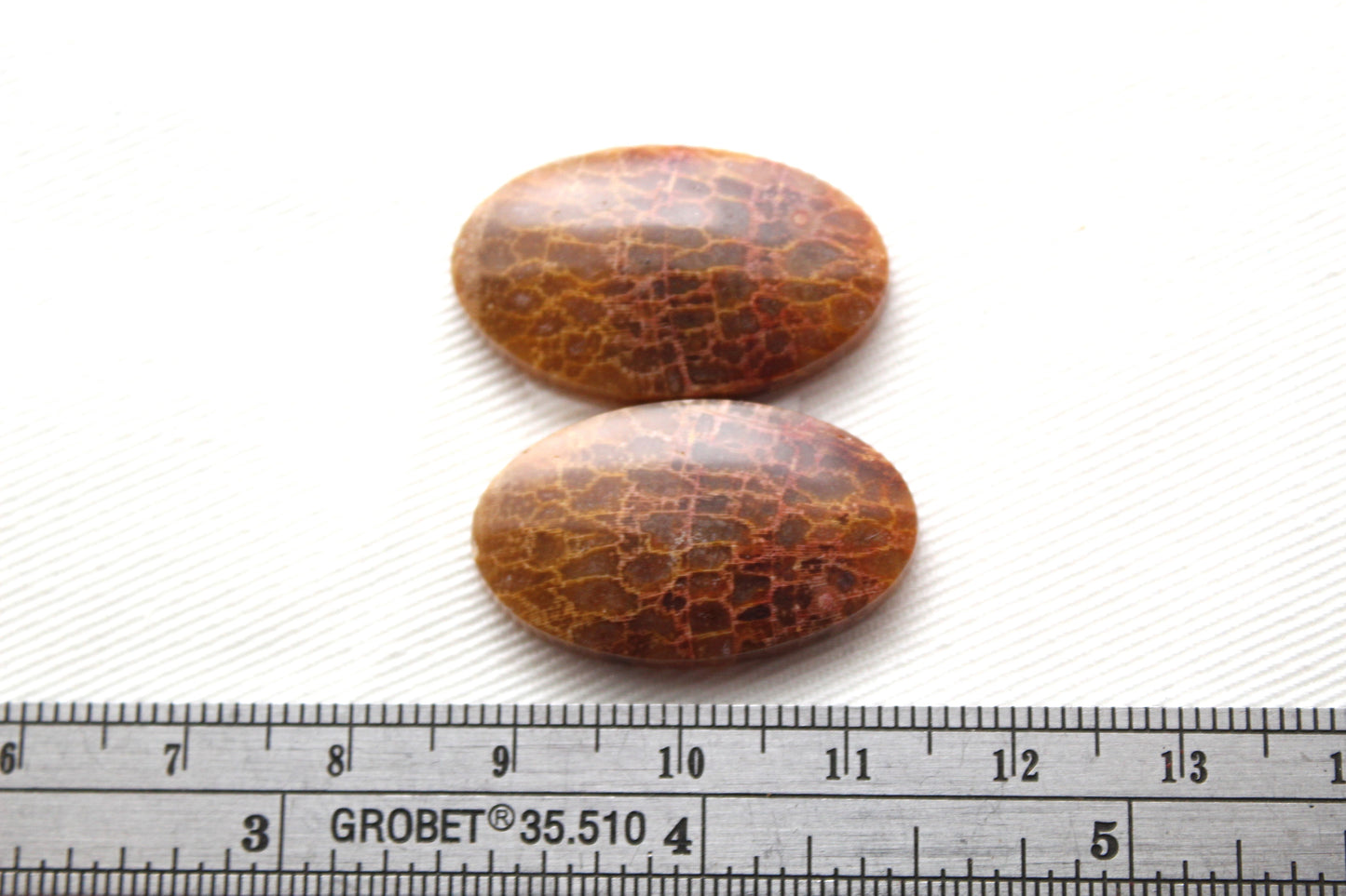 Fossil Palm root Cabochon Pair Gemstone Oval