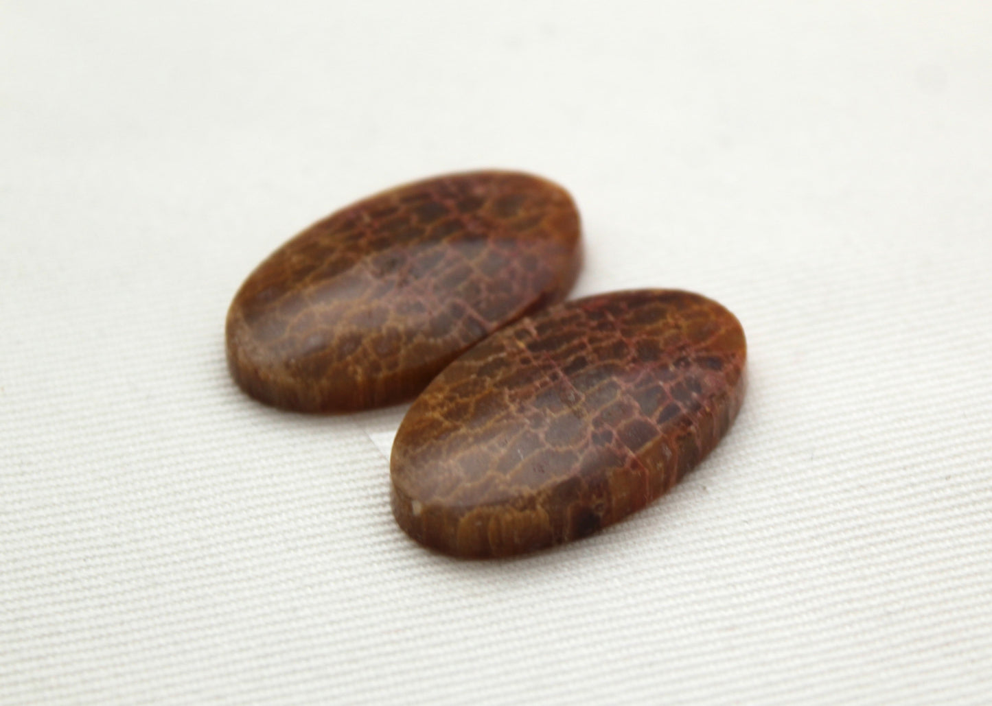 Fossil Palm root Cabochon Pair Gemstone Oval