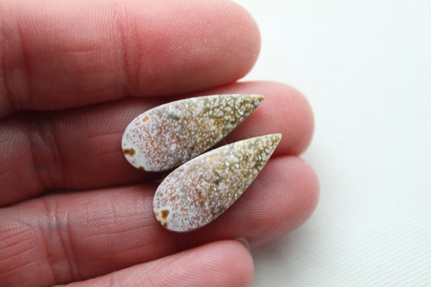 River Jasper Cabochon Paire de pierres précieuses de forme libre