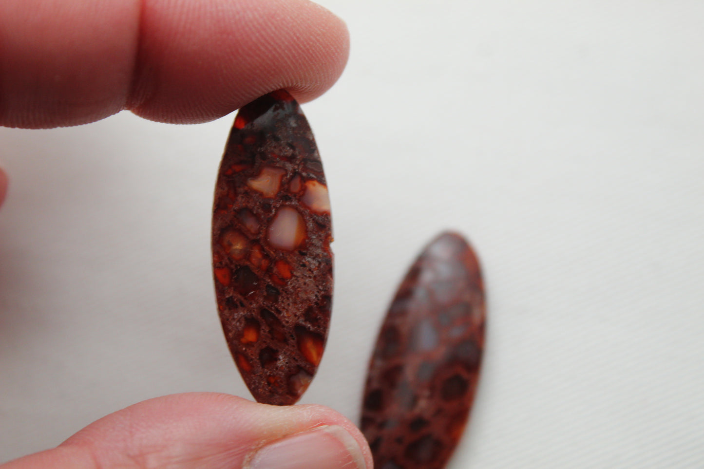 Red Palm Wood Cabochon Pair natural gemstones Oval