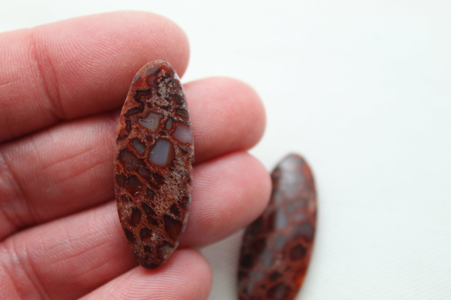 Red Palm Wood Cabochon Pair natural gemstones Oval