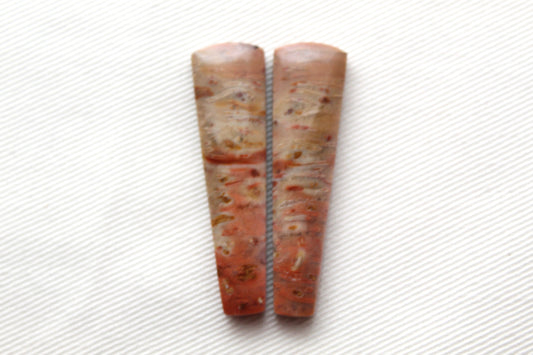 Red Palm Root Cabochon Pair natural gemstones