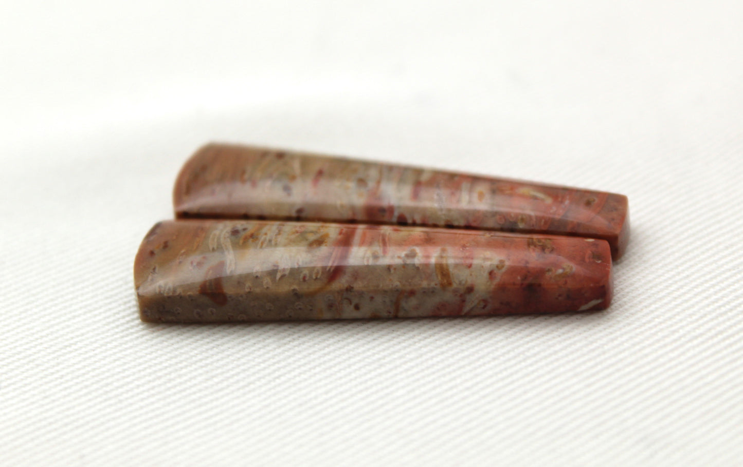 Red Palm Root Cabochon Pair natural gemstones