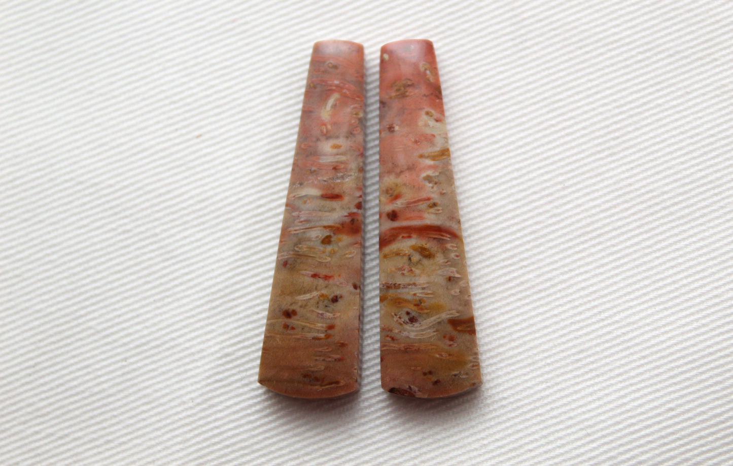 Red Palm Root Cabochon Pair natural gemstones