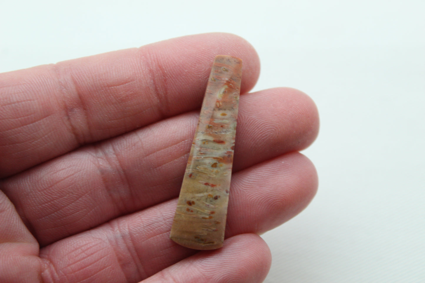 Red Palm Root Cabochon Pair natural gemstones