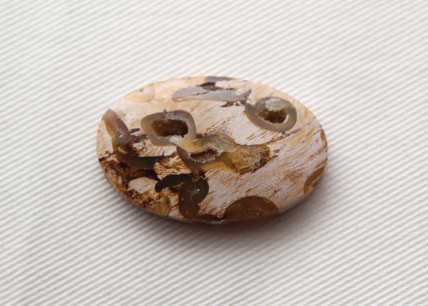 Worm Hole Petrified Wood Cabochon gemstone natural