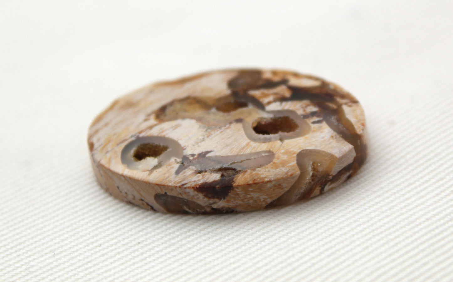 Worm Hole Petrified Wood Cabochon gemstone natural