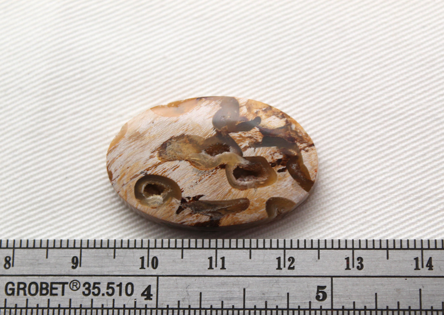 Worm Hole Petrified Wood Cabochon gemstone natural