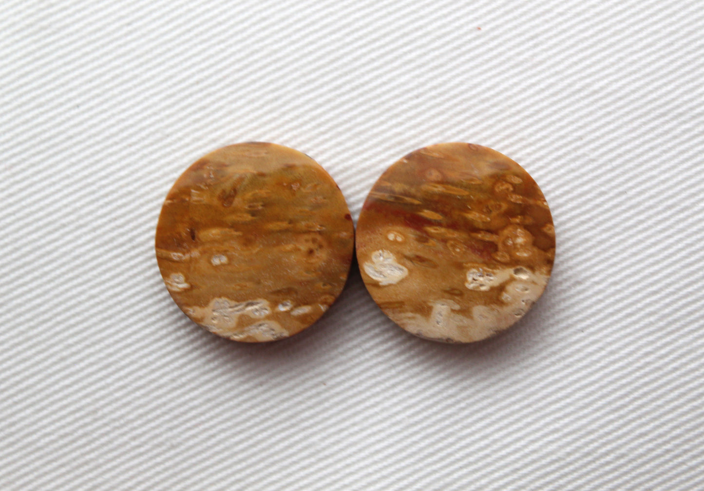 Palm Root Cabochon Pair natural gemstones round 19MM