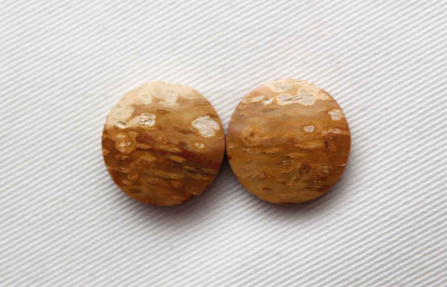 Palm Root Cabochon Pair natural gemstones round 19MM