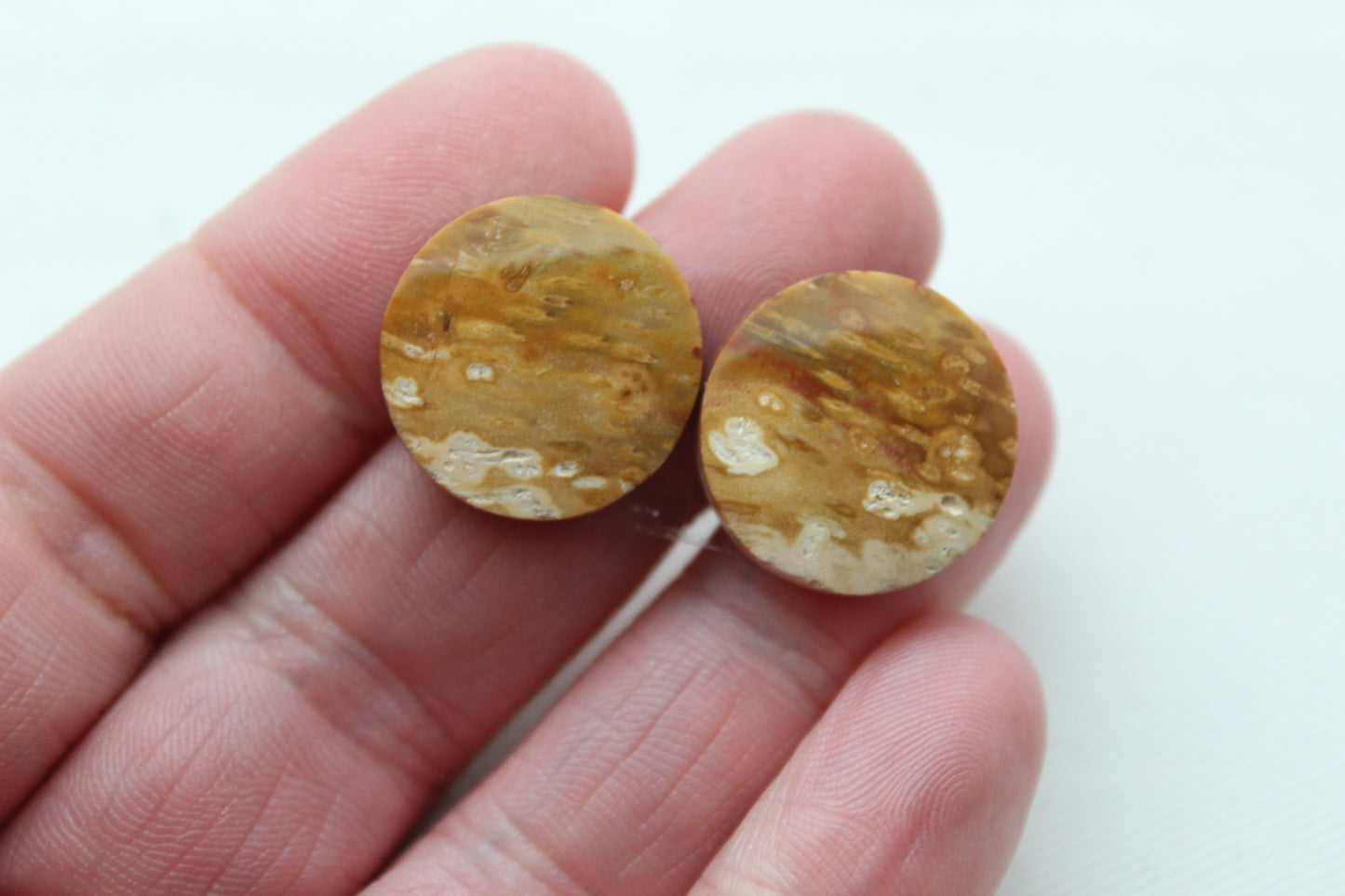 Palm Root Cabochon Pair natural gemstones round 19MM