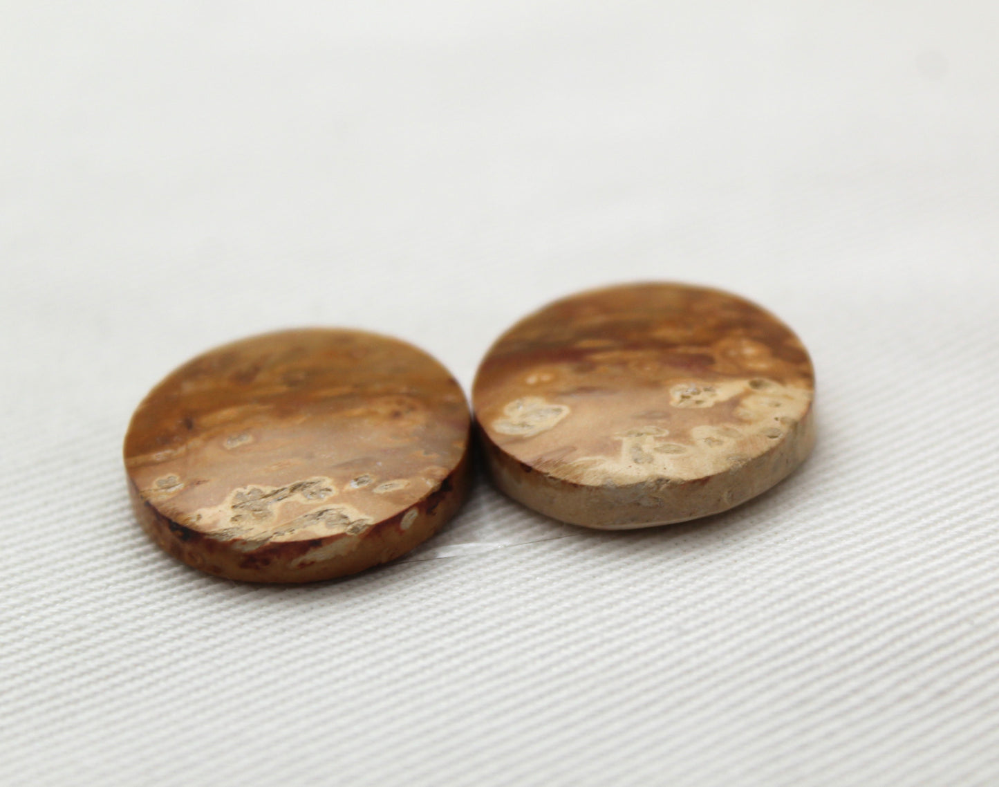 Palm Root Cabochon Pair natural gemstones round 19MM