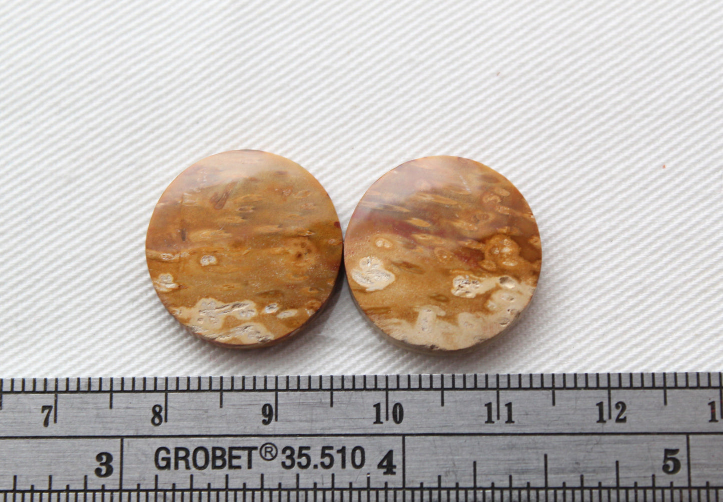 Palm Root Cabochon Pair natural gemstones round 19MM