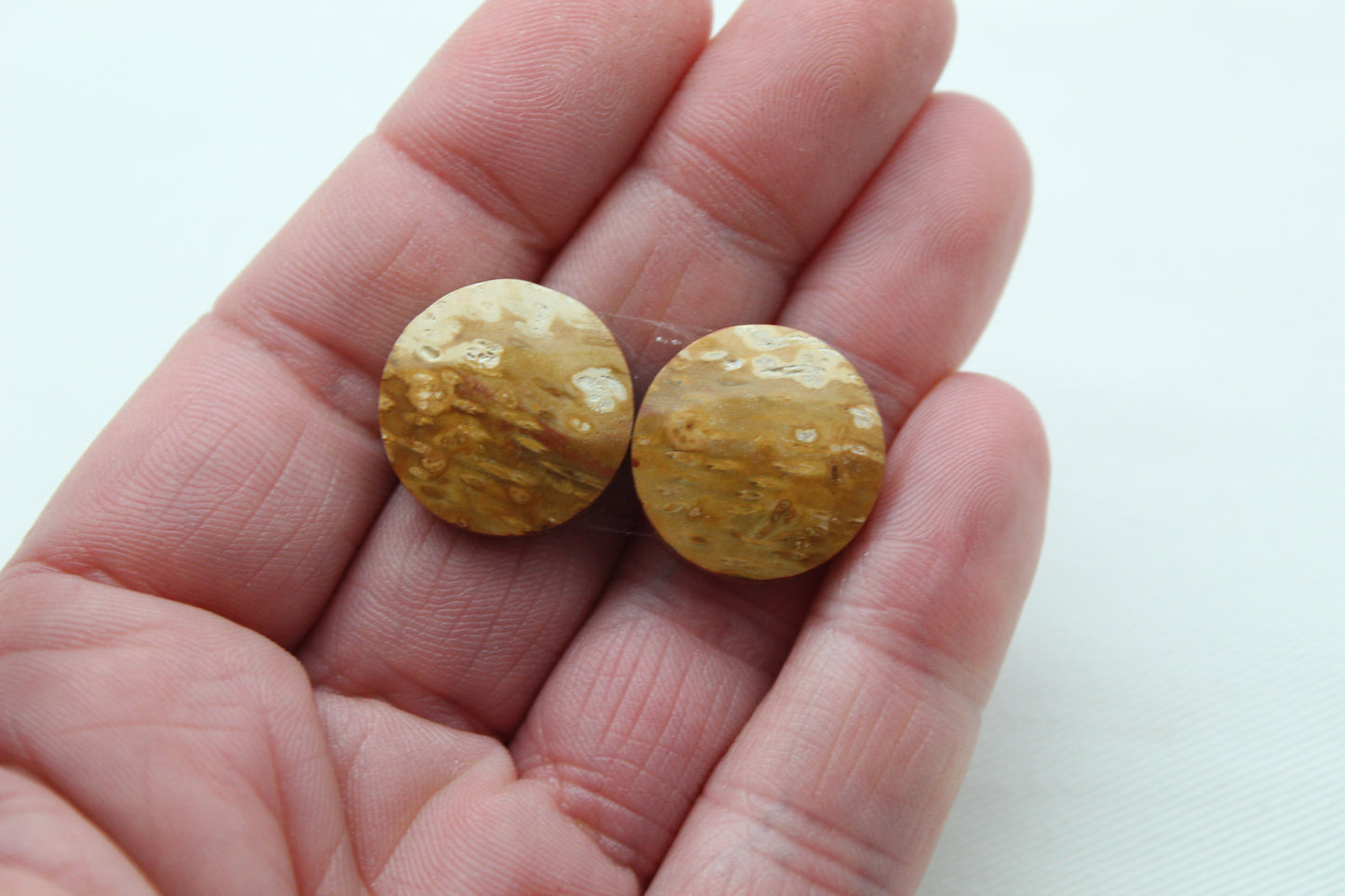 Palm Root Cabochon Pair natural gemstones round 19MM