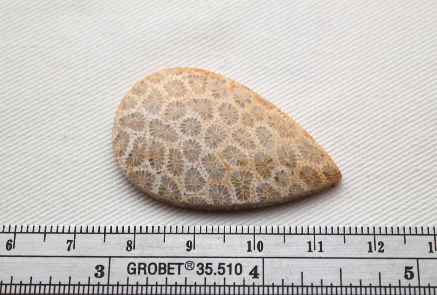 Fossilized Coral Gemstone Teardrop cabochon