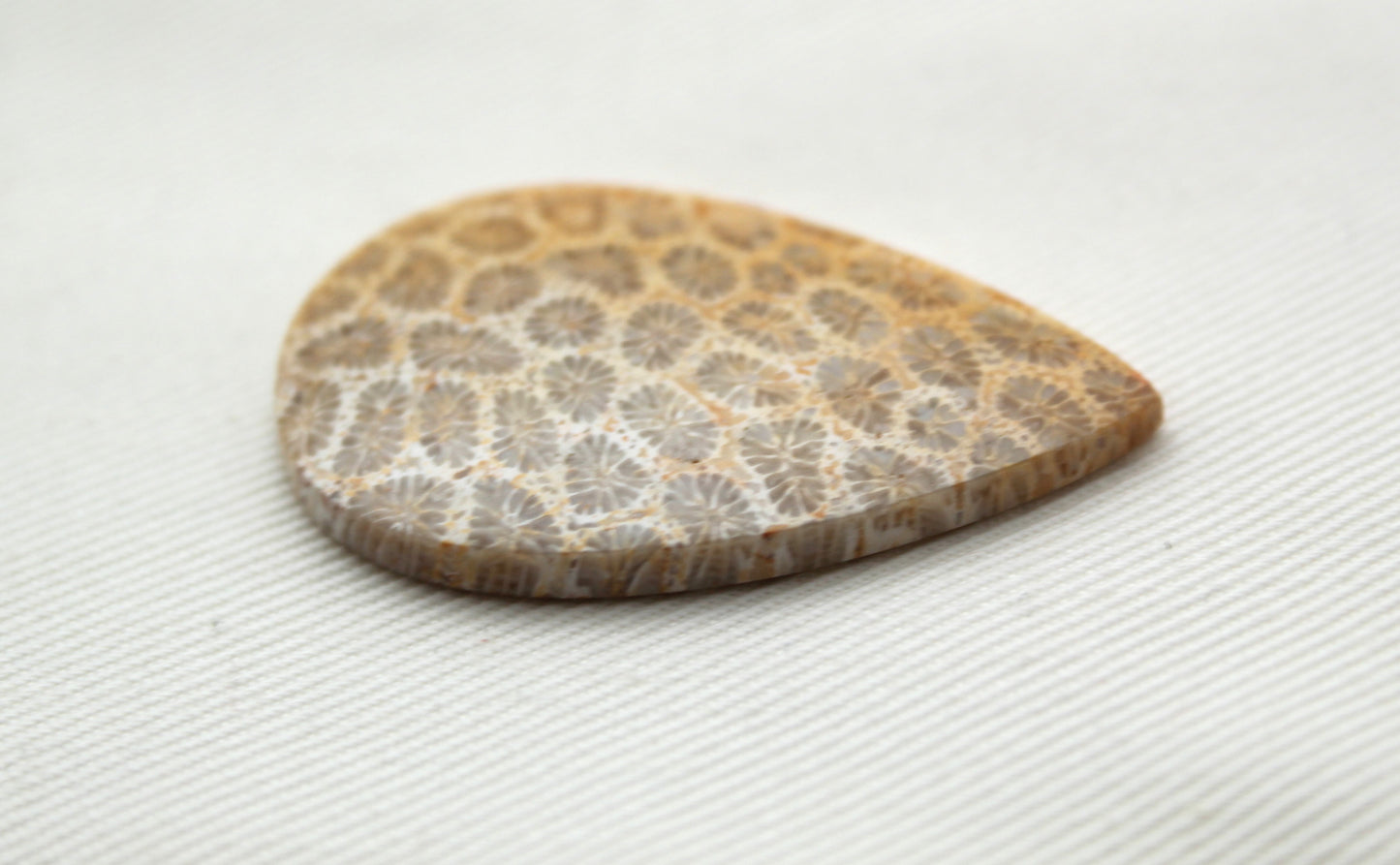 Fossilized Coral Gemstone Teardrop cabochon