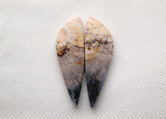 Petrified Palm Wood Cabochon Pair