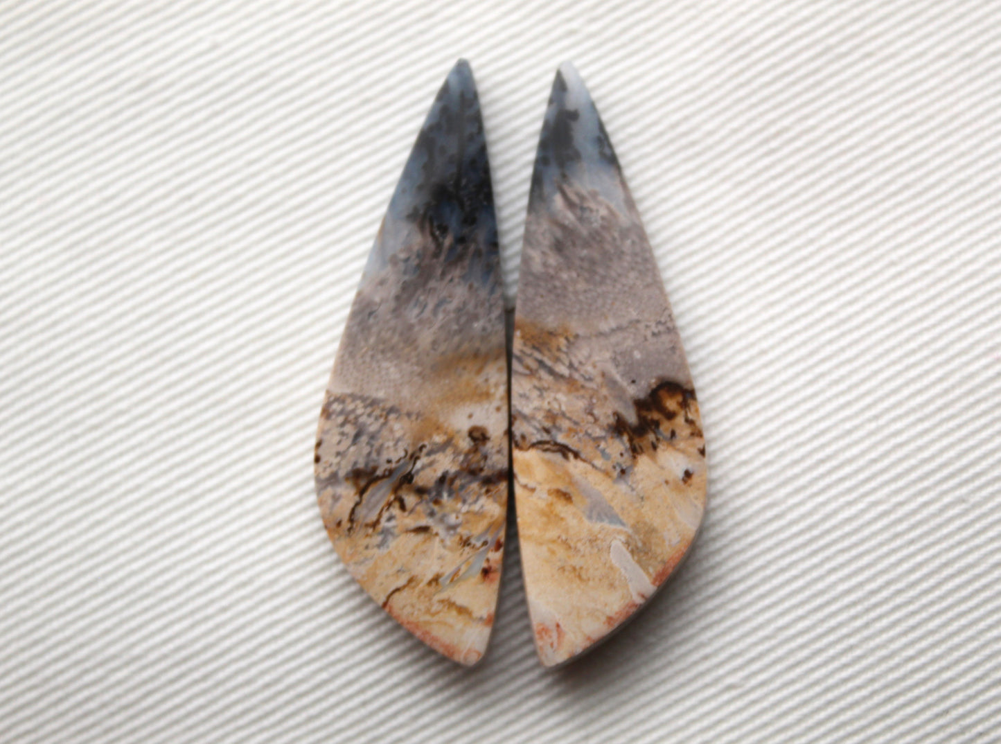 Petrified Palm Wood Cabochon Pair