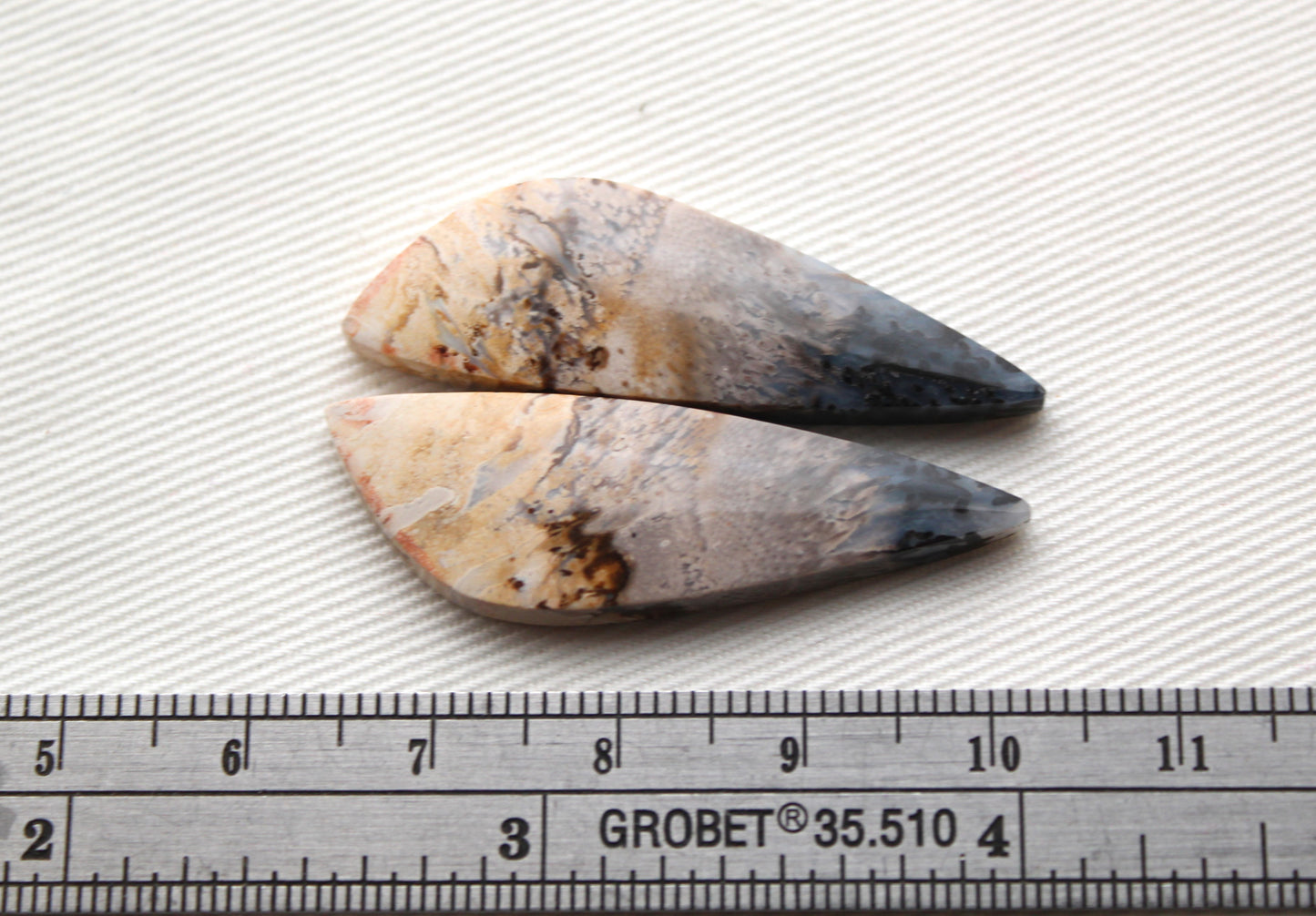 Petrified Palm Wood Cabochon Pair