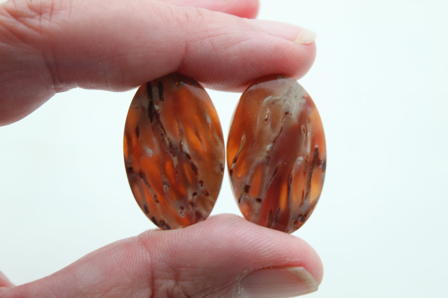 NICE Pair of Petrified Wood Cabochons pink Oval