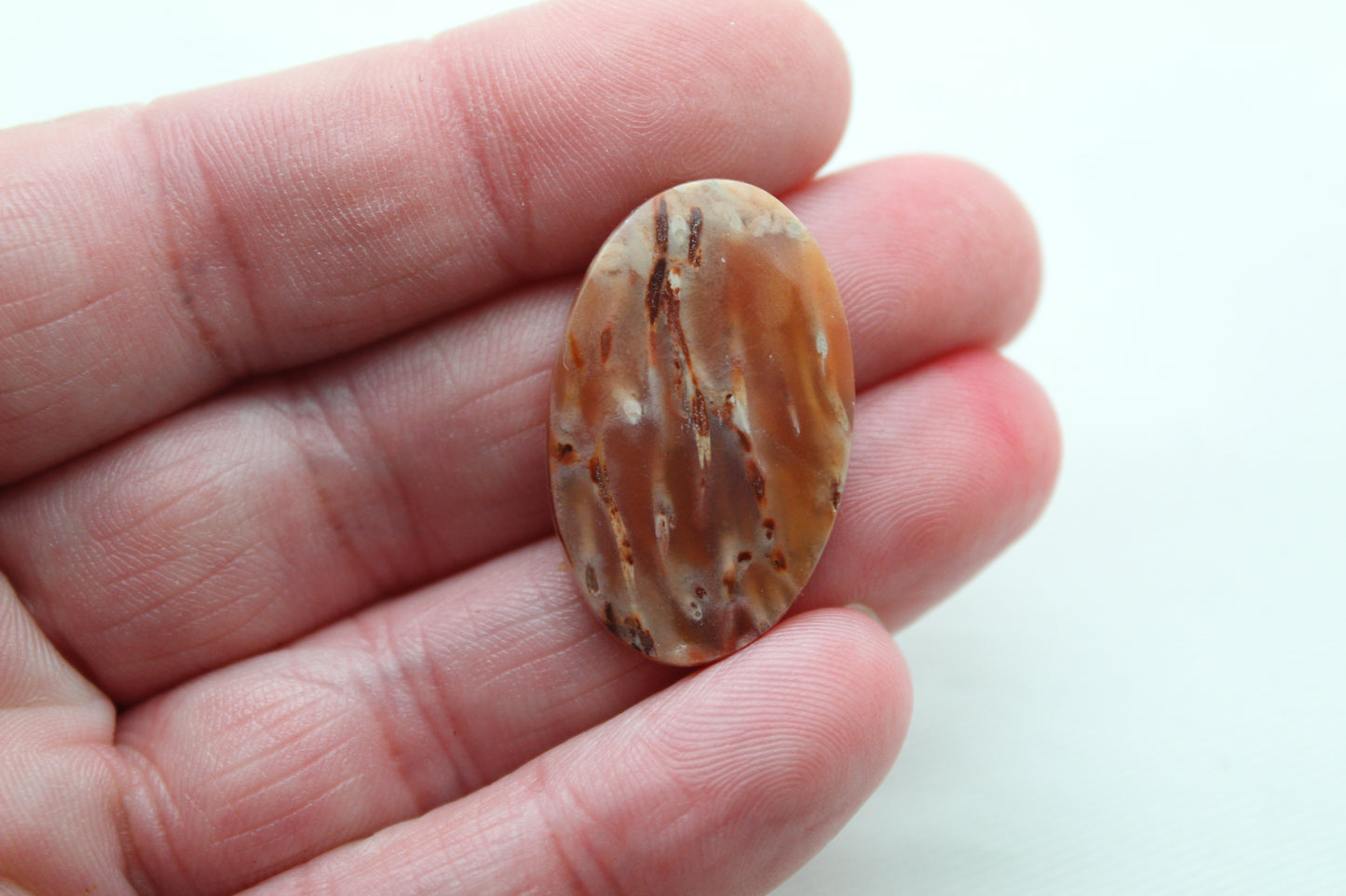 NICE Pair of Petrified Wood Cabochons pink Oval