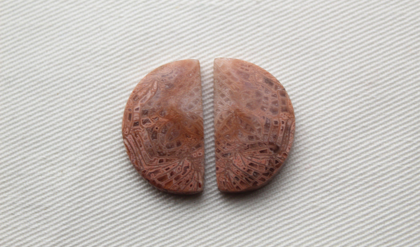 Pink Fossil Coral Pair of Gemstones cabochon