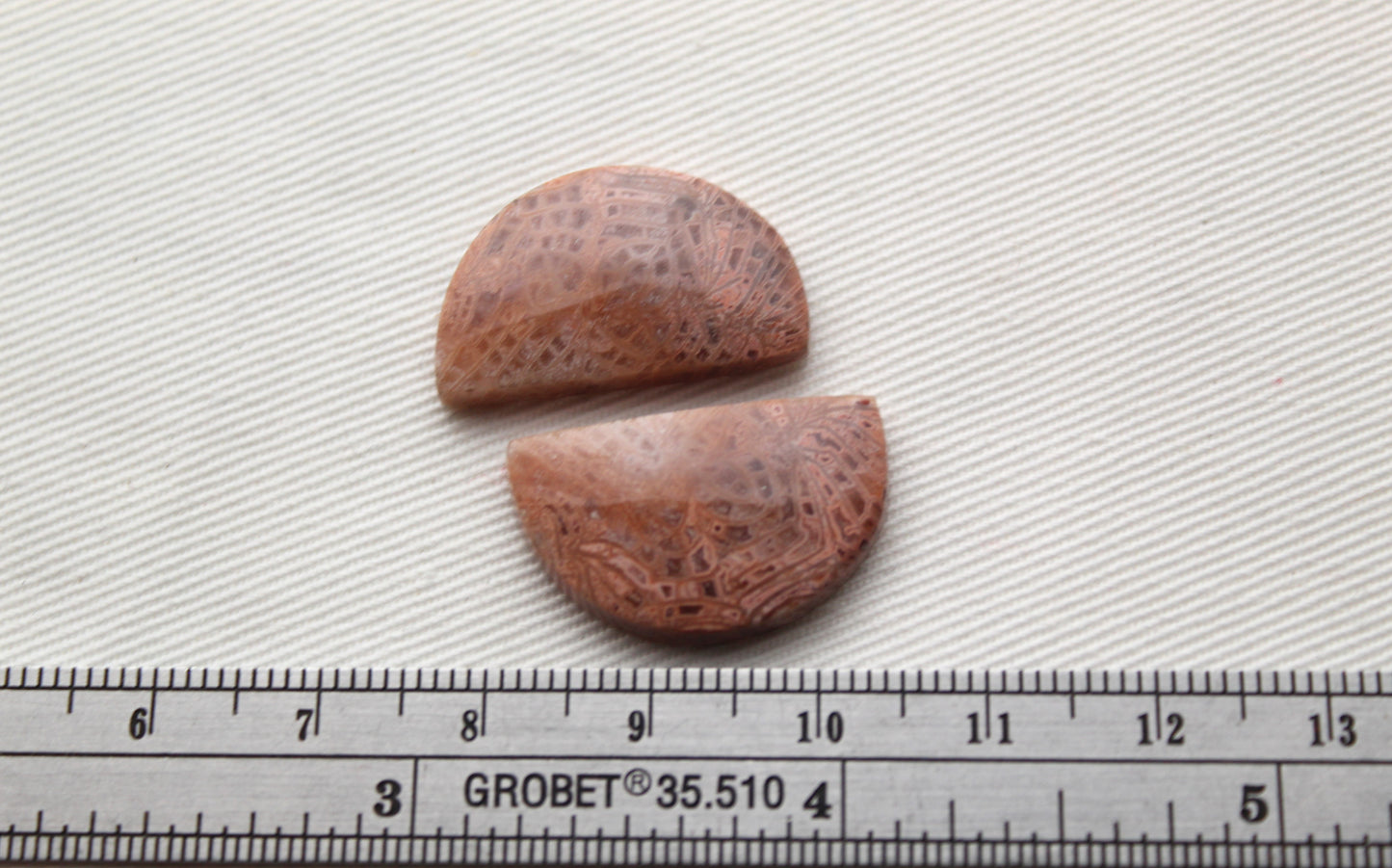 Pink Fossil Coral Pair of Gemstones cabochon