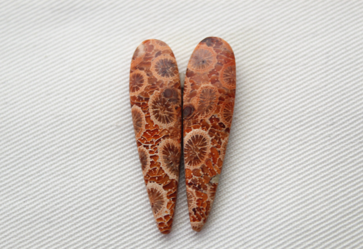 Fossilized Coral Pair of Gemstones cabochon beige natural