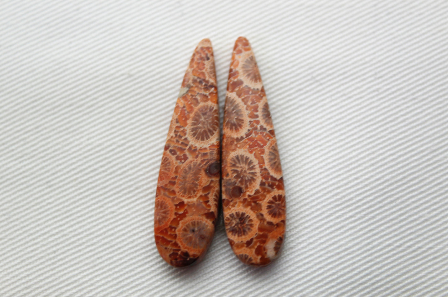 Fossilized Coral Pair of Gemstones cabochon beige natural