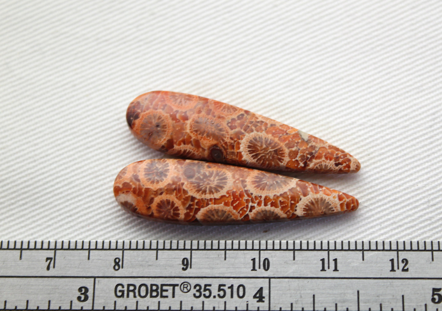 Fossilized Coral Pair of Gemstones cabochon beige natural