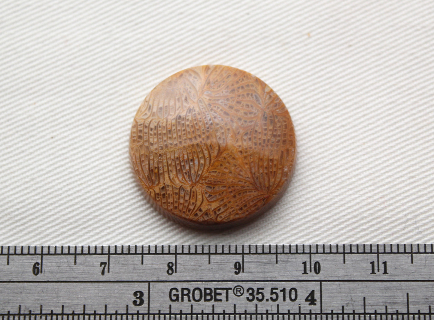 Round Fossilized Coral Gemstone cabochon natural 26MM