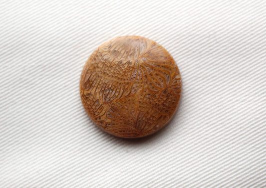 Round Fossilized Coral Gemstone cabochon natural 26MM