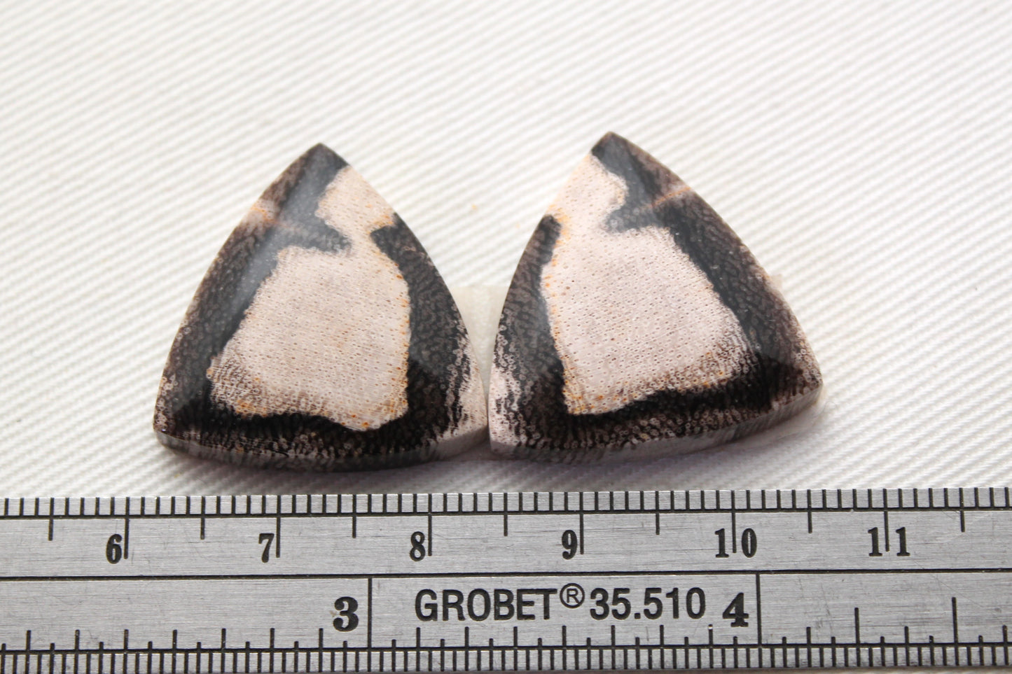 Nice pair of Petrified Wood Cabochons