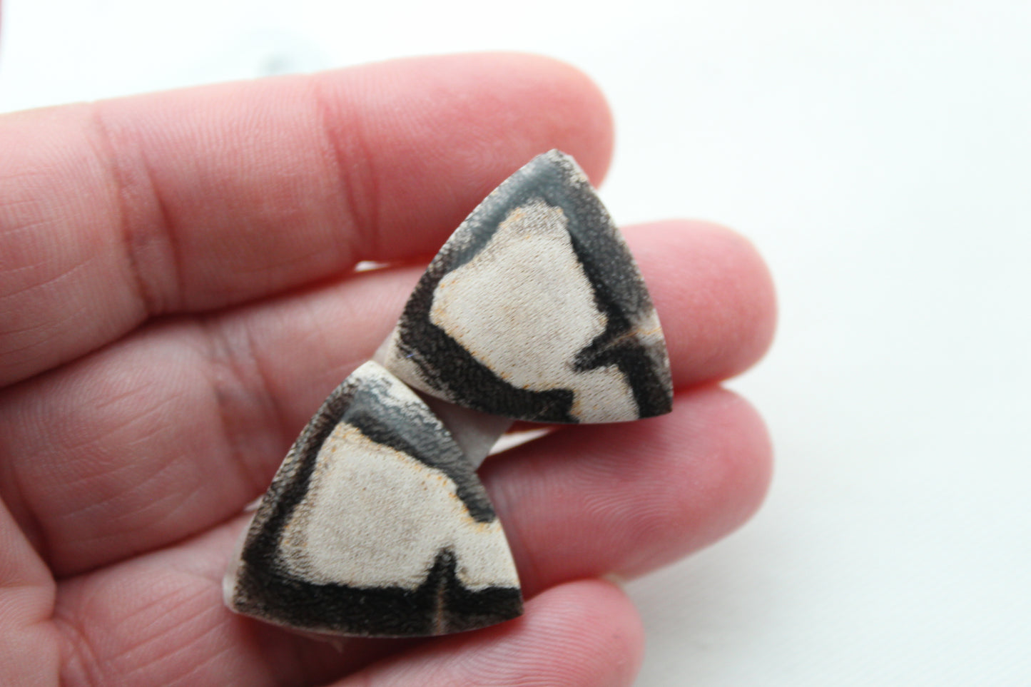 Nice pair of Petrified Wood Cabochons