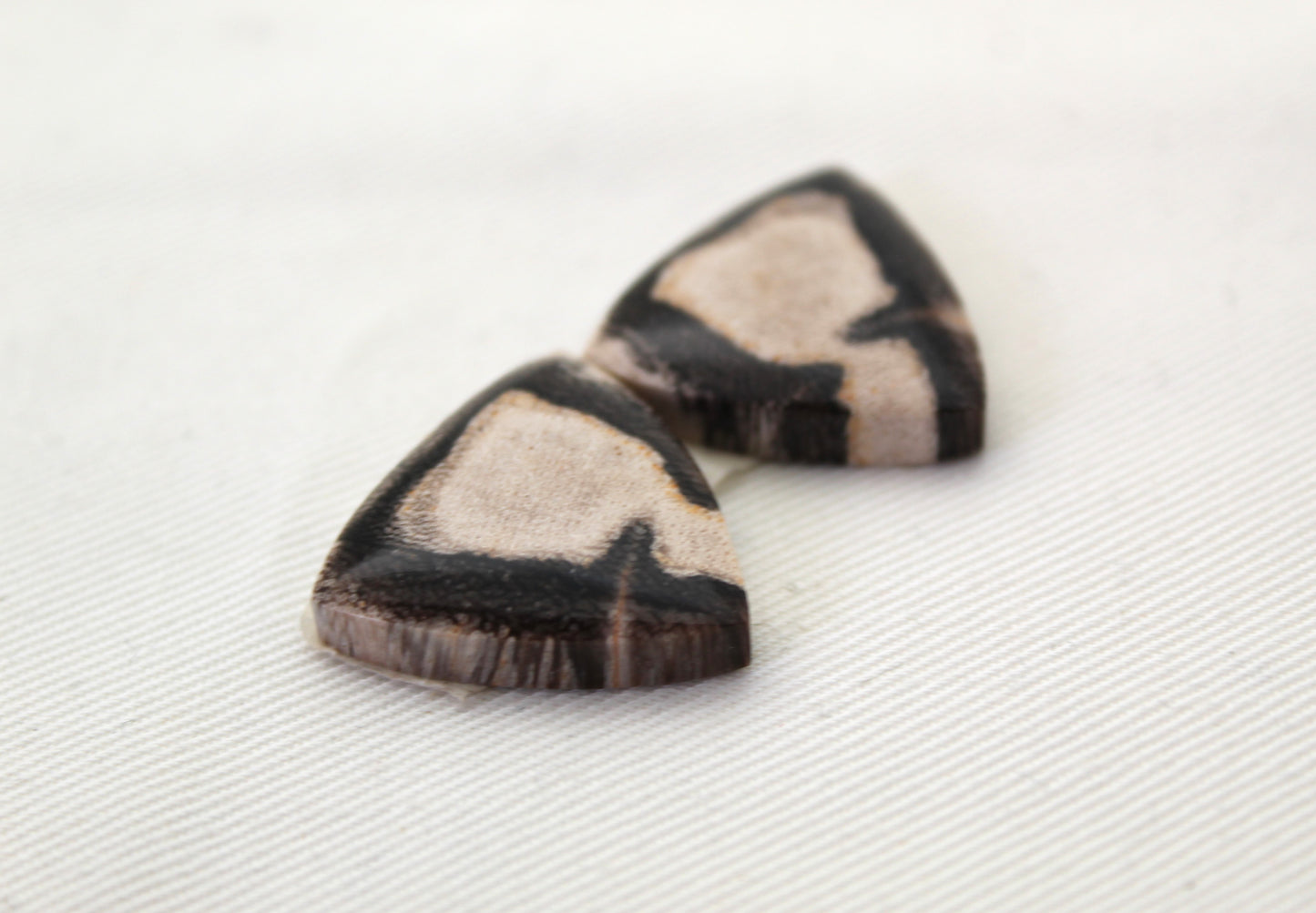 Nice pair of Petrified Wood Cabochons