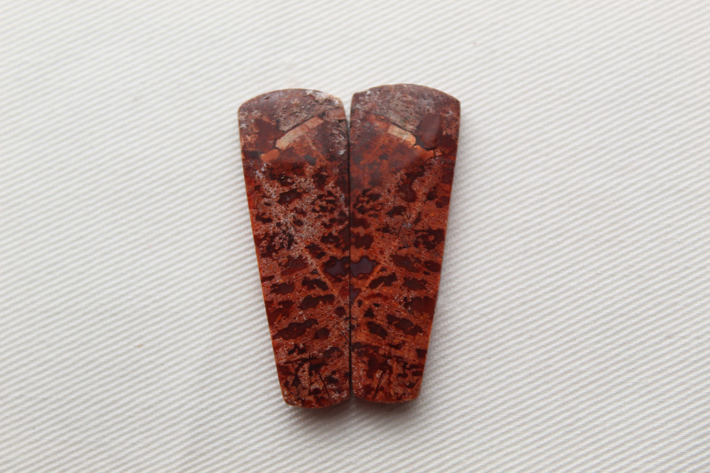 Red Palm Wood Cabochon Pair natural gemstones