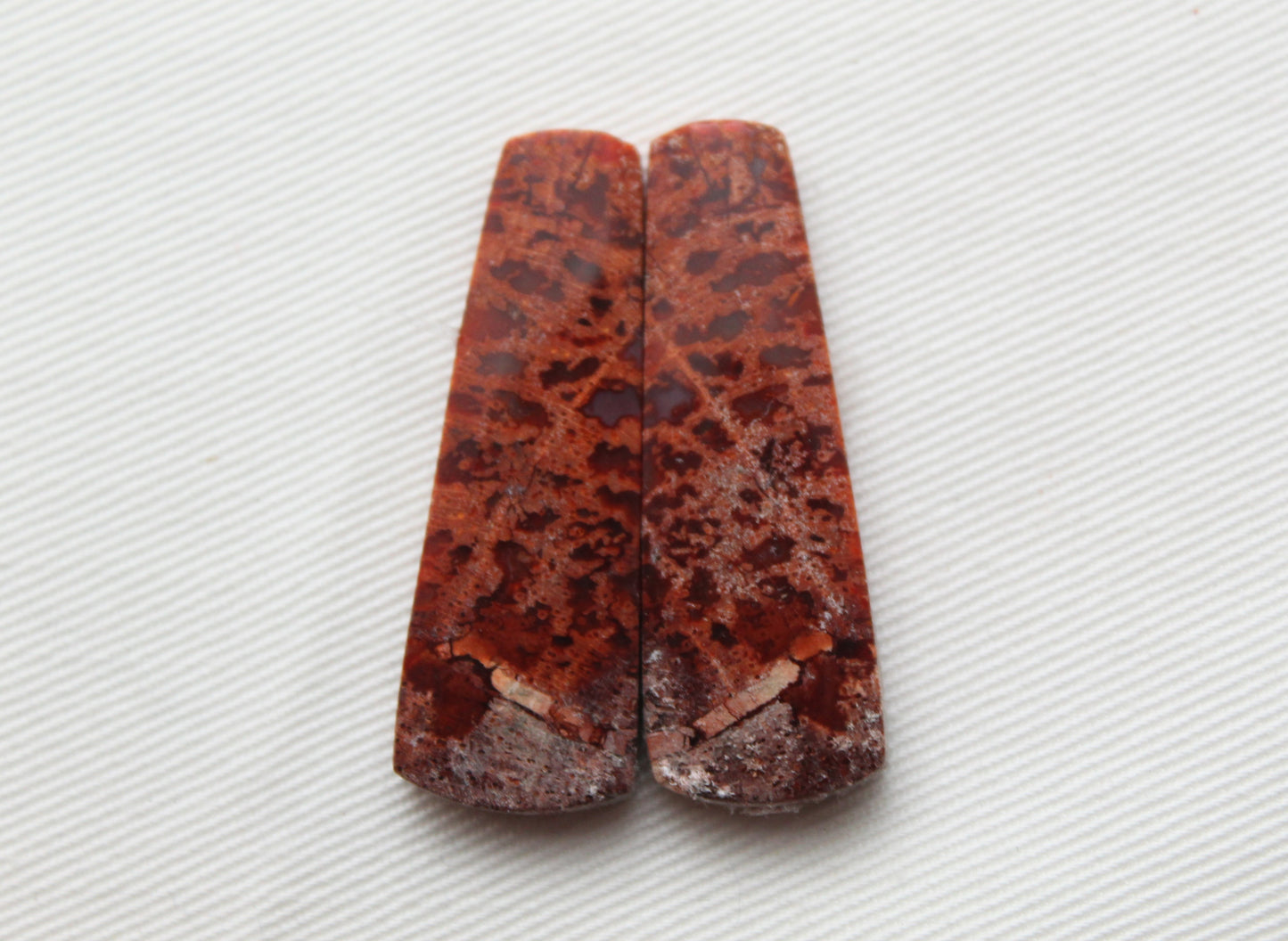 Red Palm Wood Cabochon Pair natural gemstones