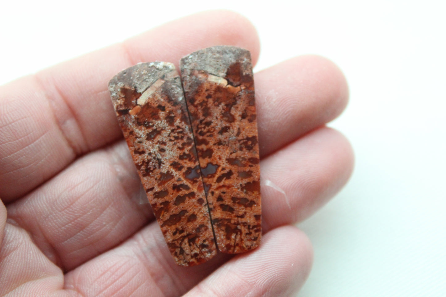 Red Palm Wood Cabochon Pair natural gemstones