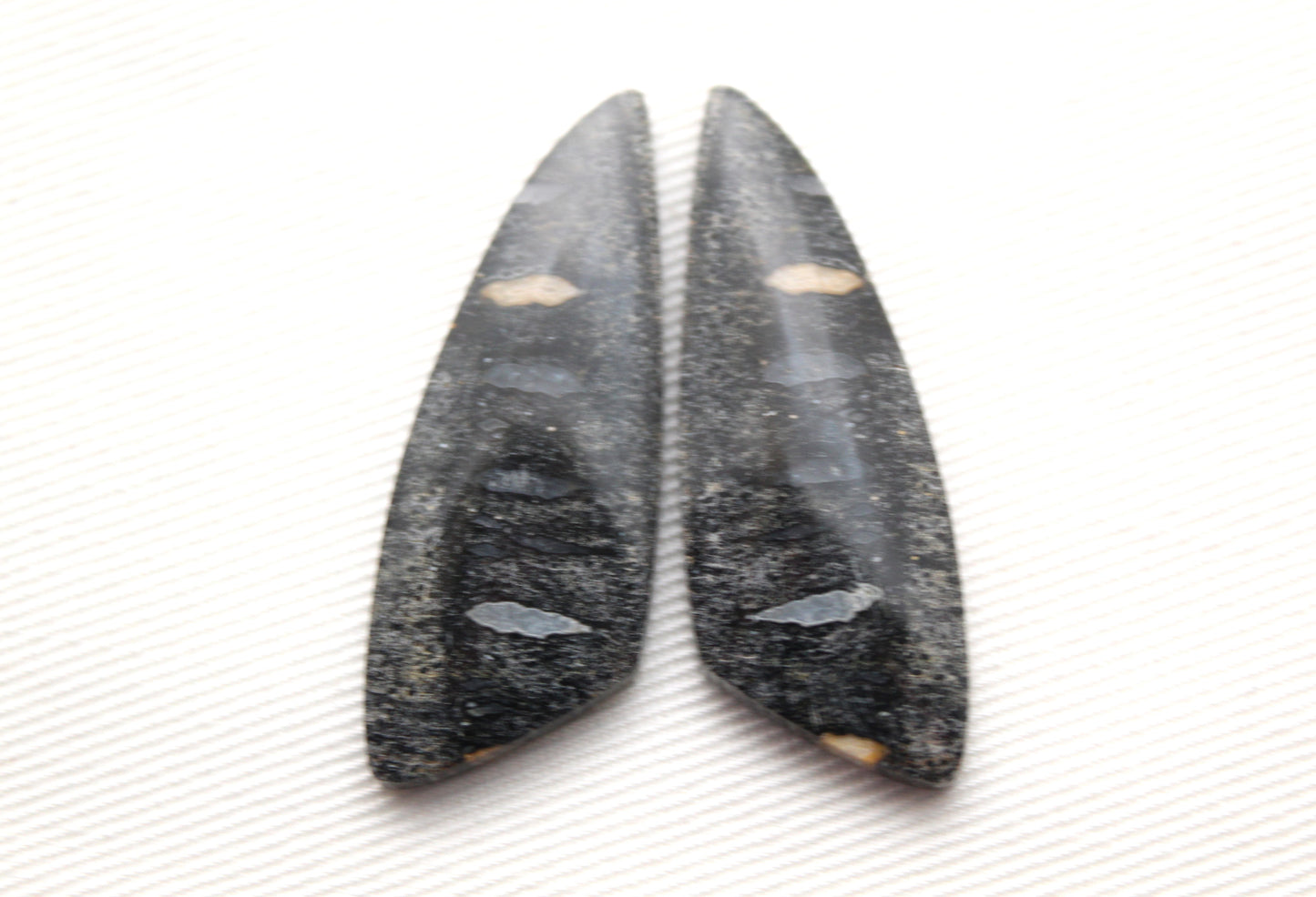 Palm Root Bone Cabochon Pair natural gemstones