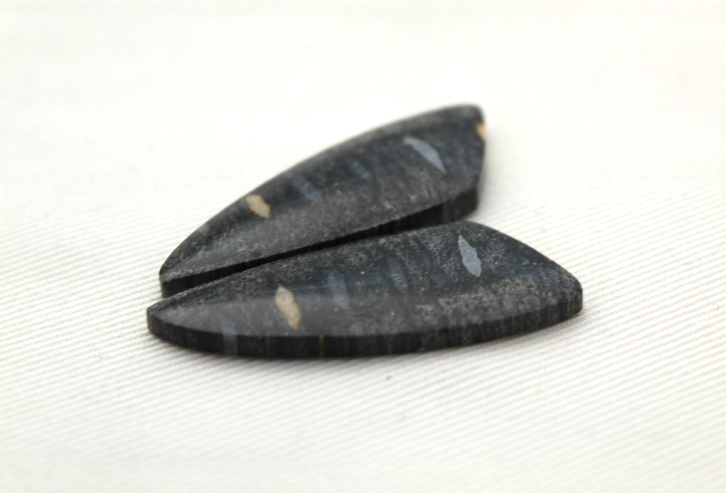 Palm Root Bone Cabochon Pair natural gemstones