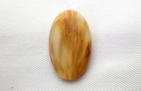 Tube Agate Oval Cabochon Transludent Gemstone Yellow