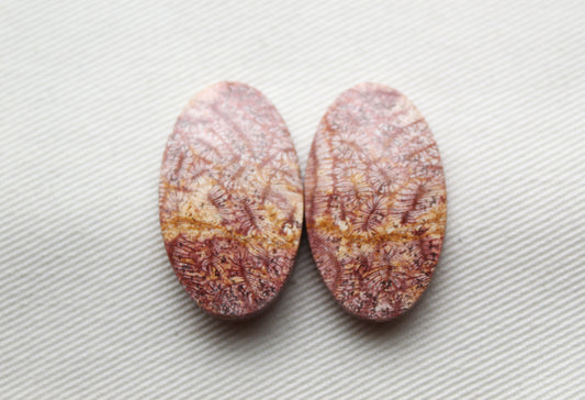 Fossil coral pair cabochons oval pink