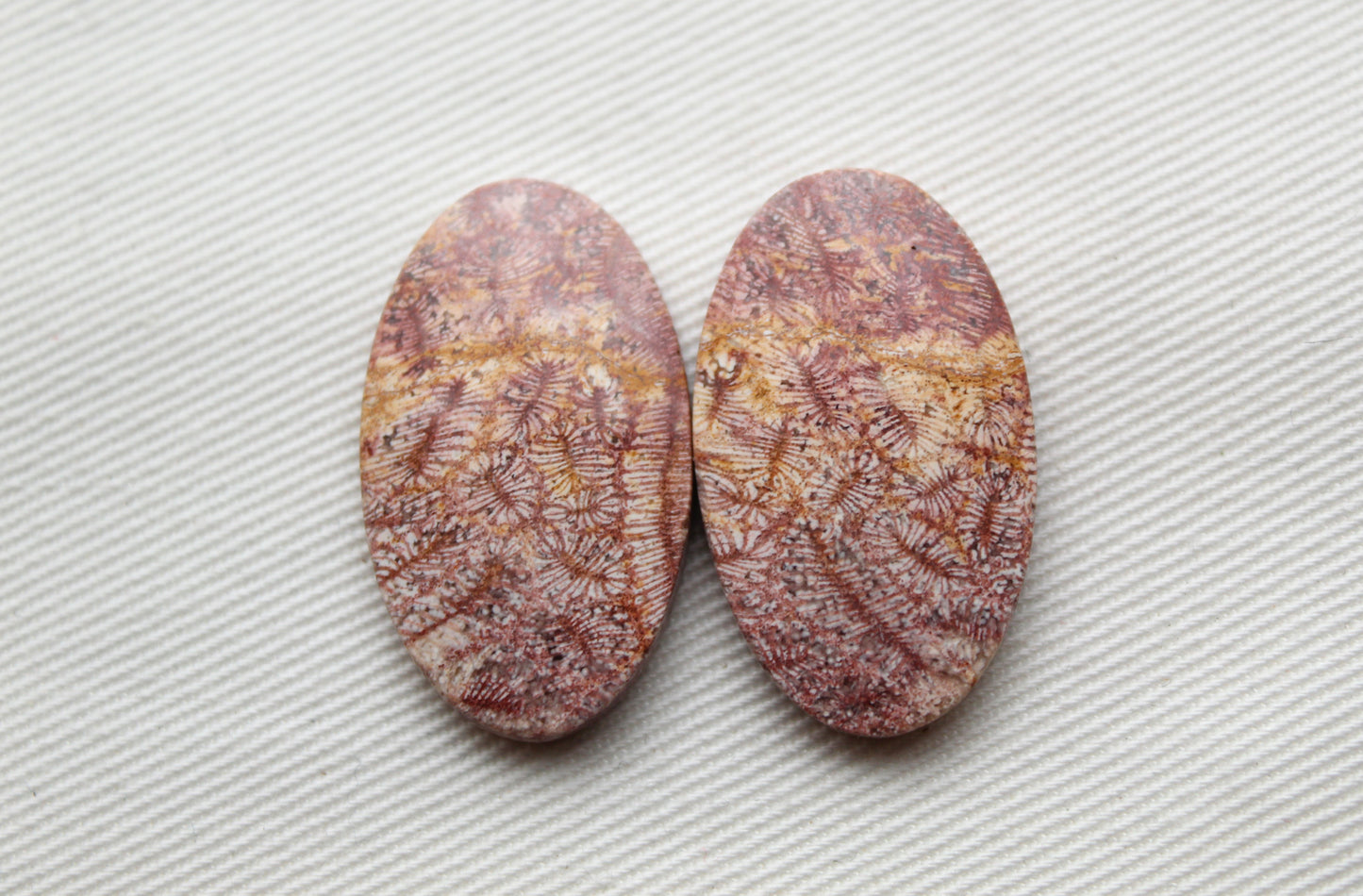 Fossil coral pair cabochons oval pink