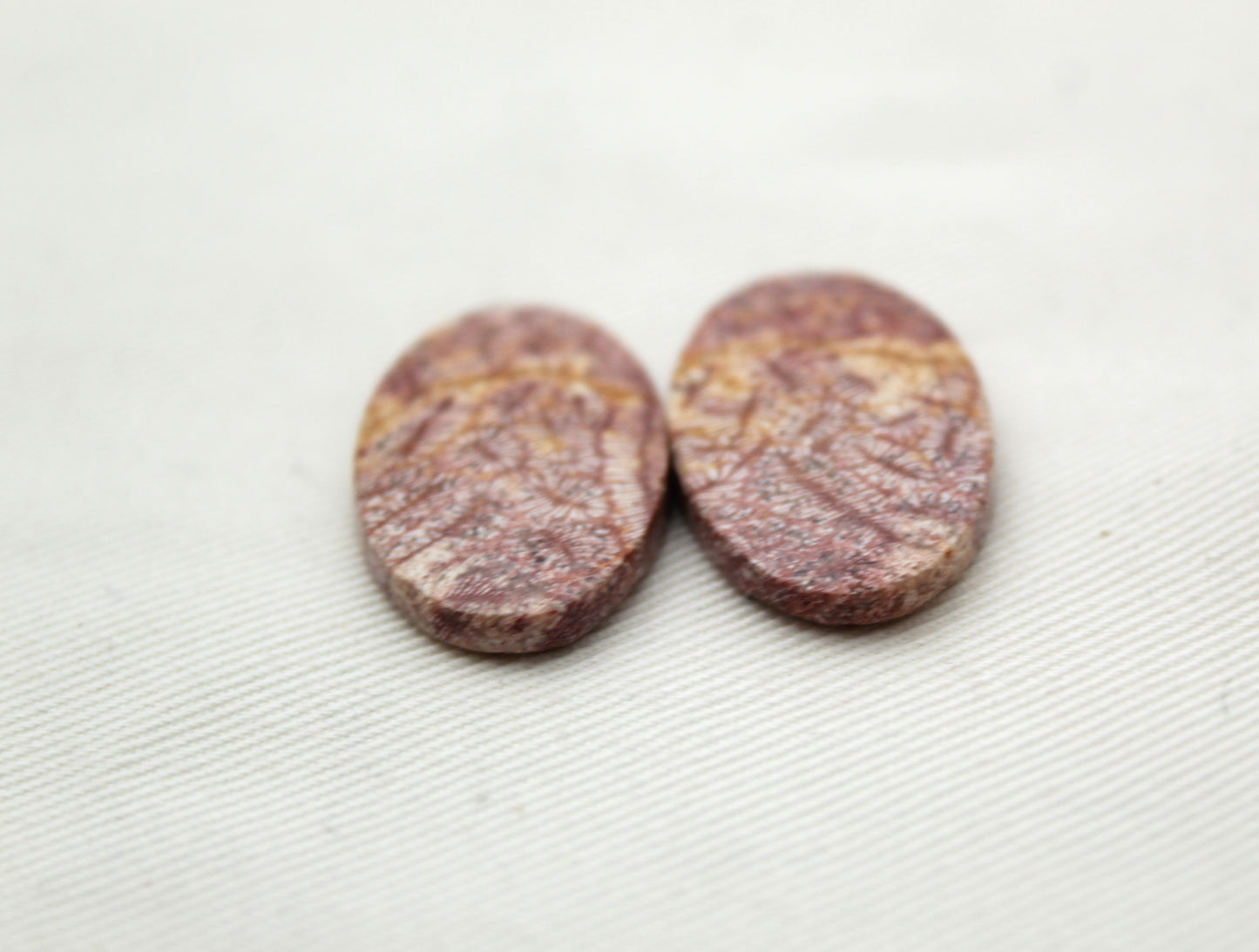 Fossil coral pair cabochons oval pink