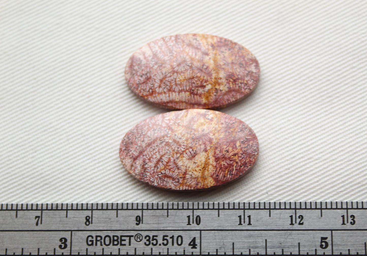 Fossil coral pair cabochons oval pink