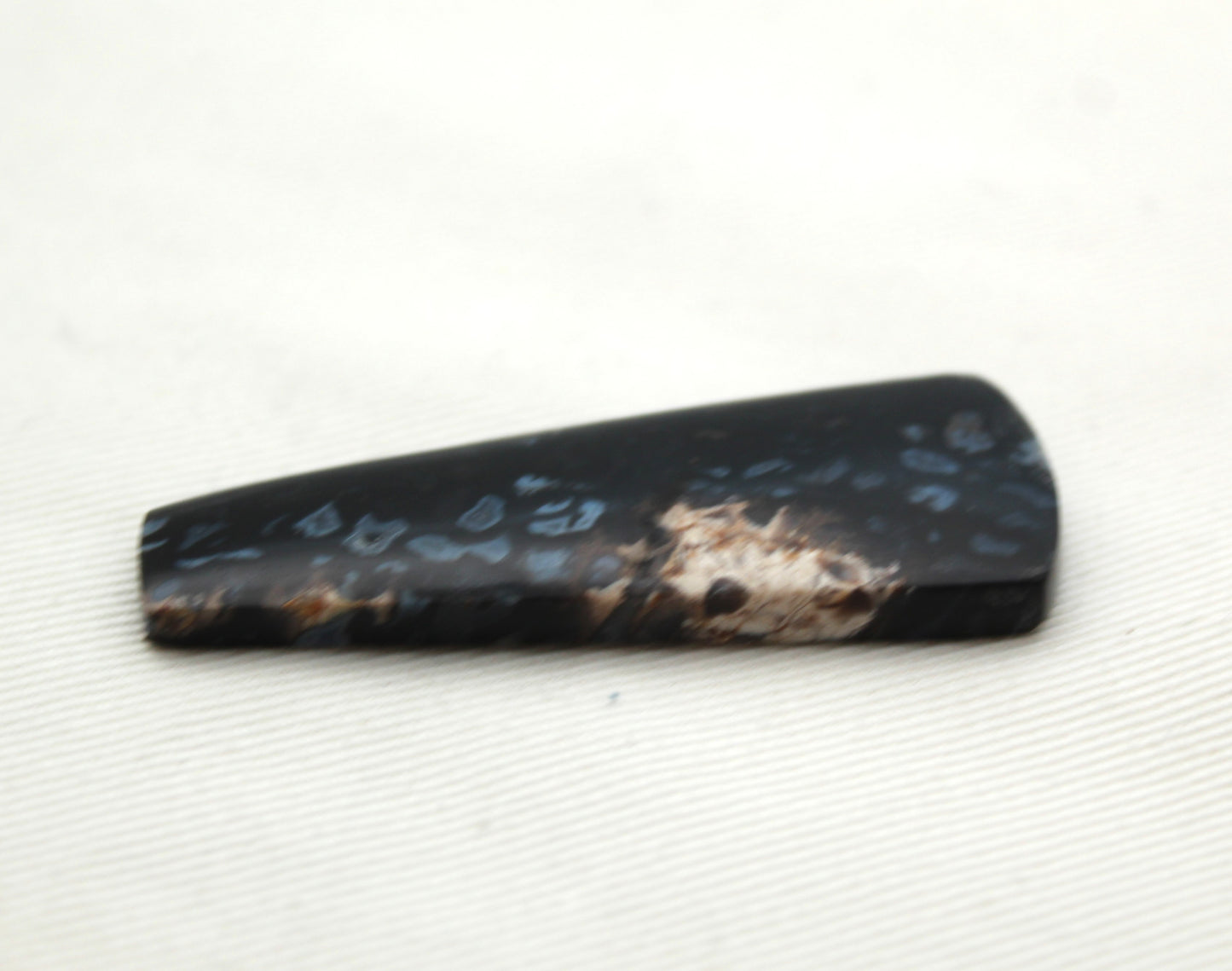 Small Petrified Wood Cabochon Pair triangle