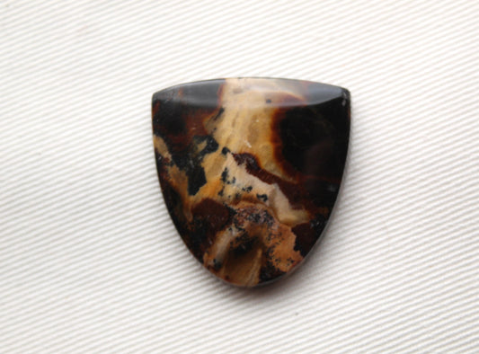 Petrified Wood Gemstone Cabochon