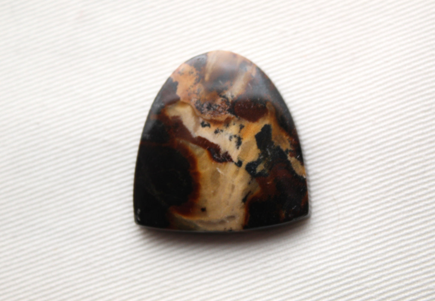 Petrified Wood Gemstone Cabochon