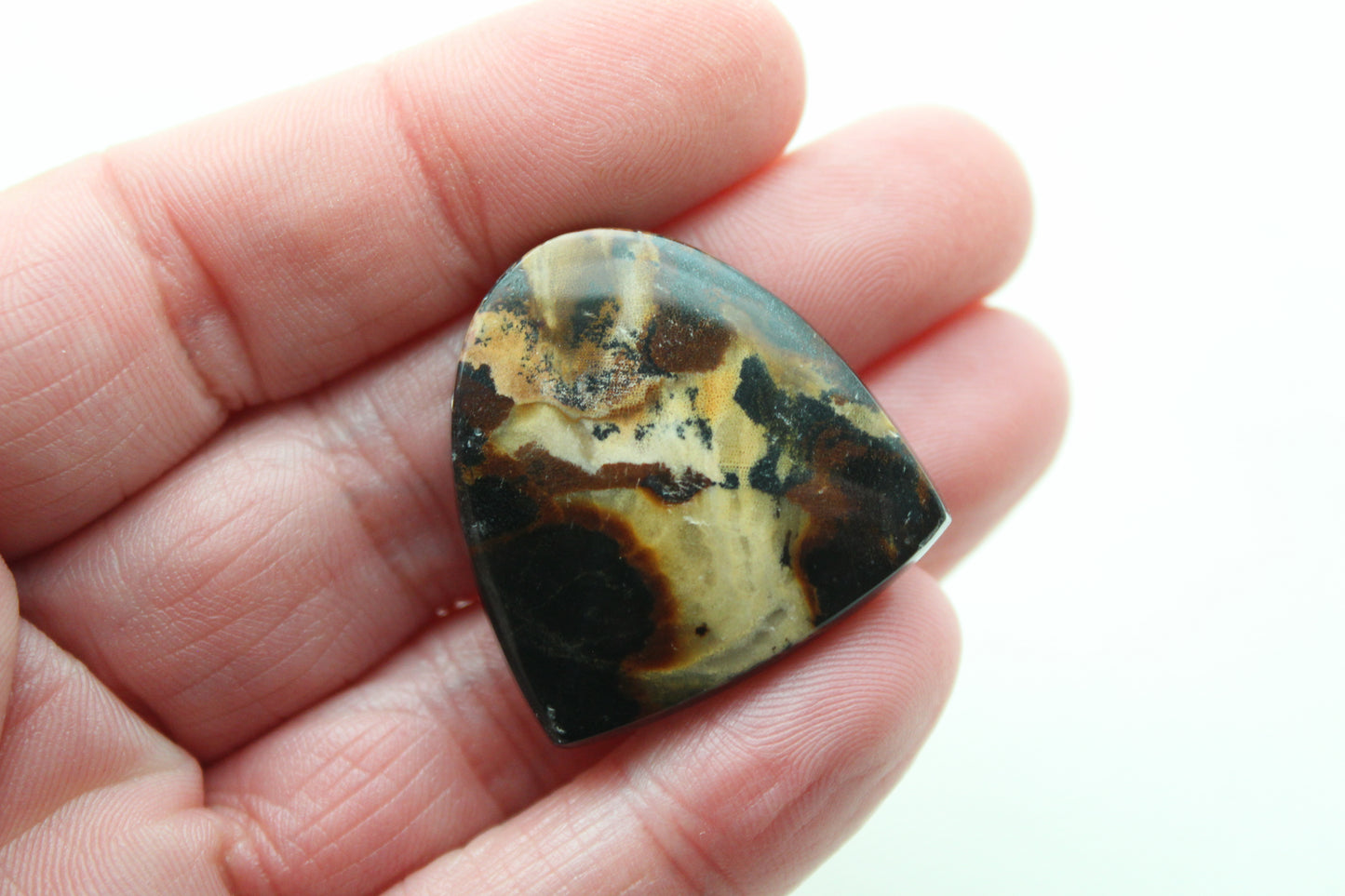 Petrified Wood Gemstone Cabochon